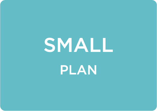 SMALL PLAN